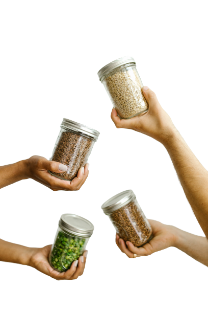 Servicio nutricion online