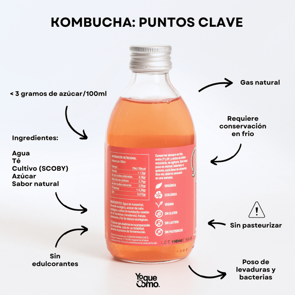 Kombucha puntos clave