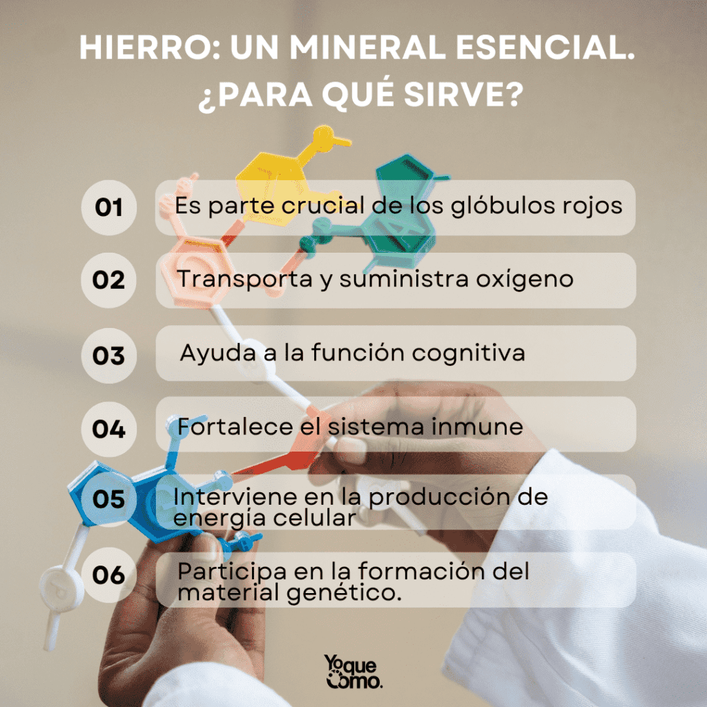 Hierro un mineral esencial