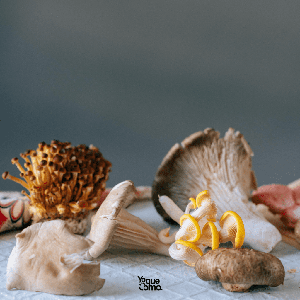 Formas de cocinar setas