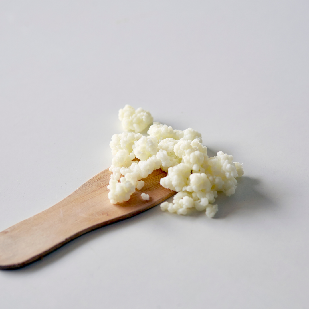 Kefir de leche paso a paso