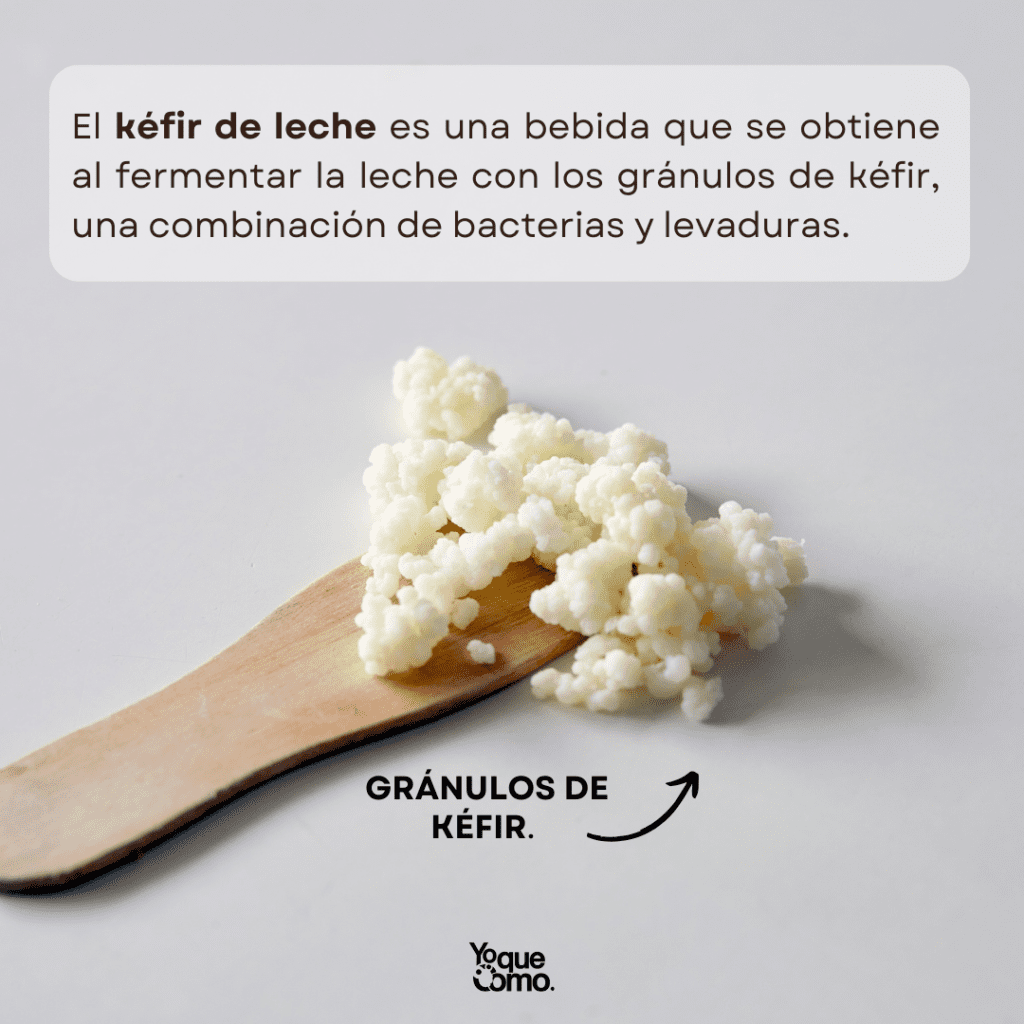 Propiedades del kefir de leche