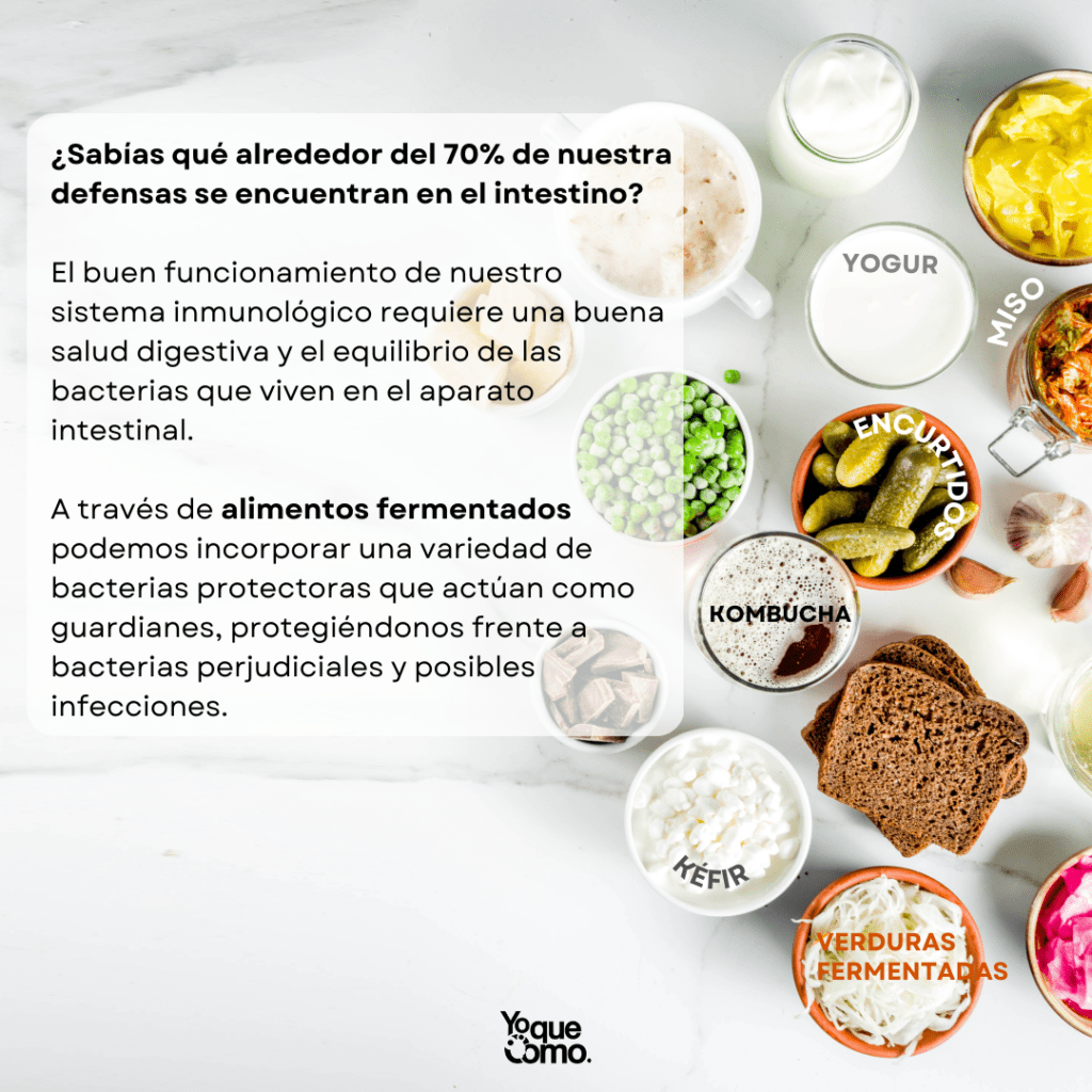Salud digestiva